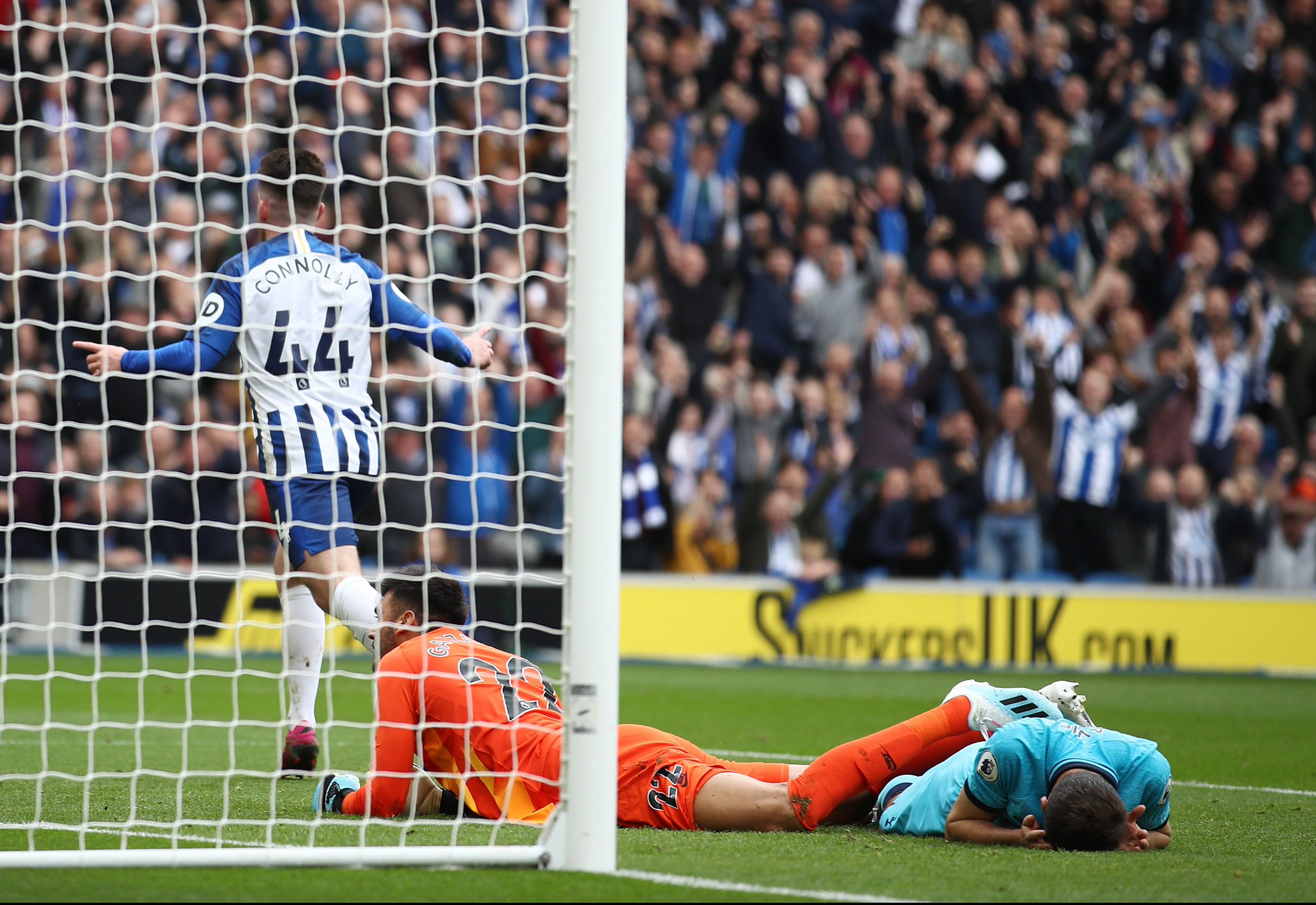 从张小楠的 从张小楠的